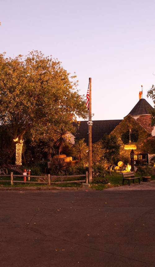 slideshow photo number 9