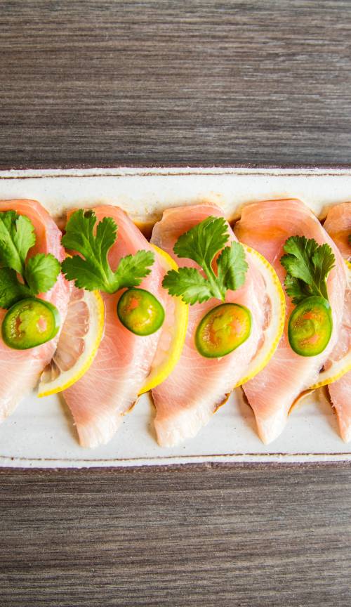 Sushi Lounge Encinitas - Website & Platform - Encinitas ...