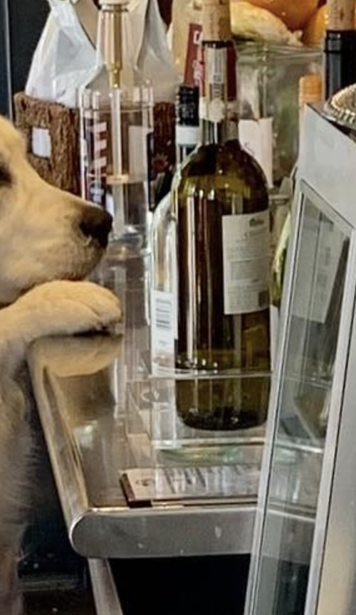 slideshow photo number 5