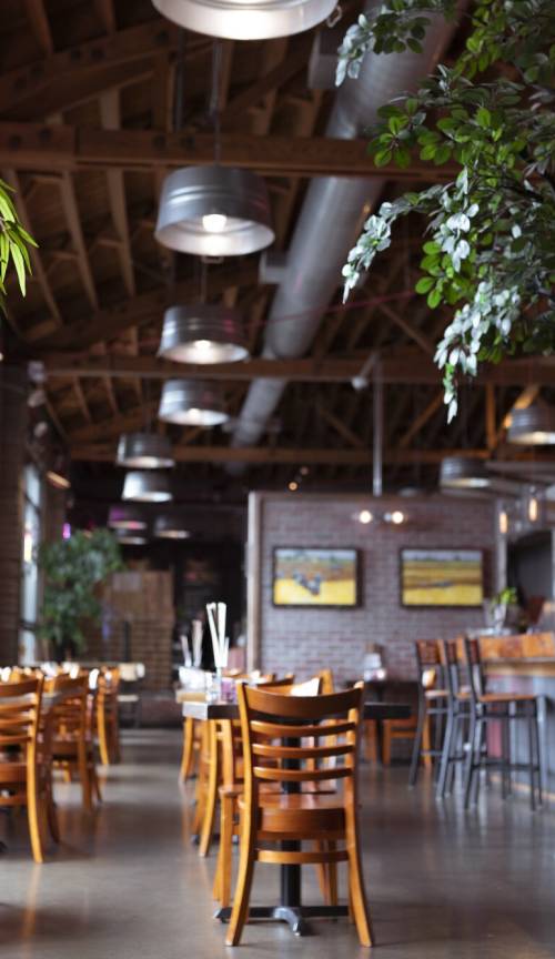 Thai orchid restaurant online