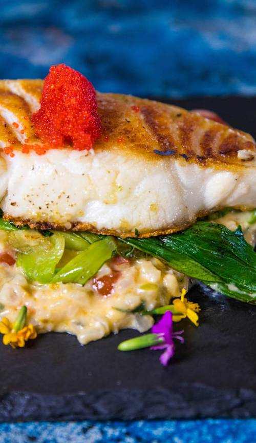 slideshow photo number 3