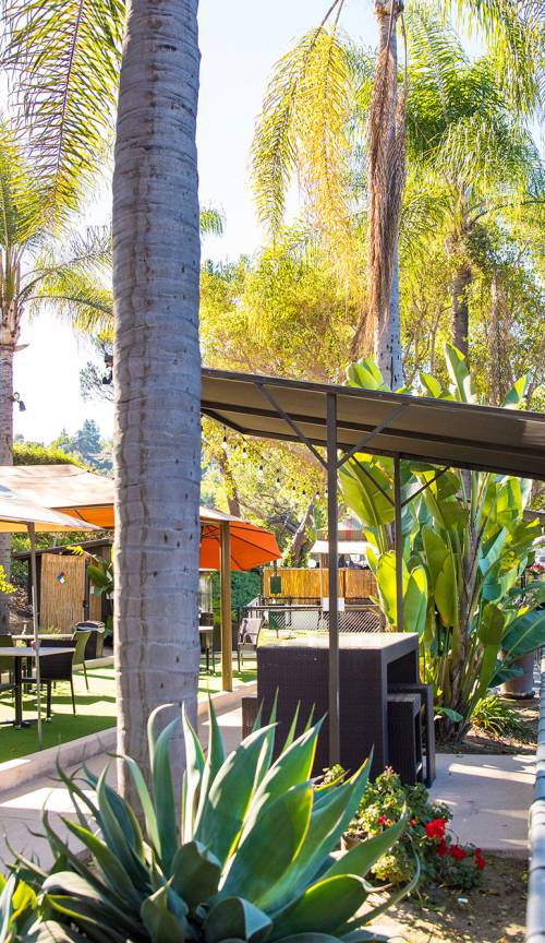 slideshow photo number 2