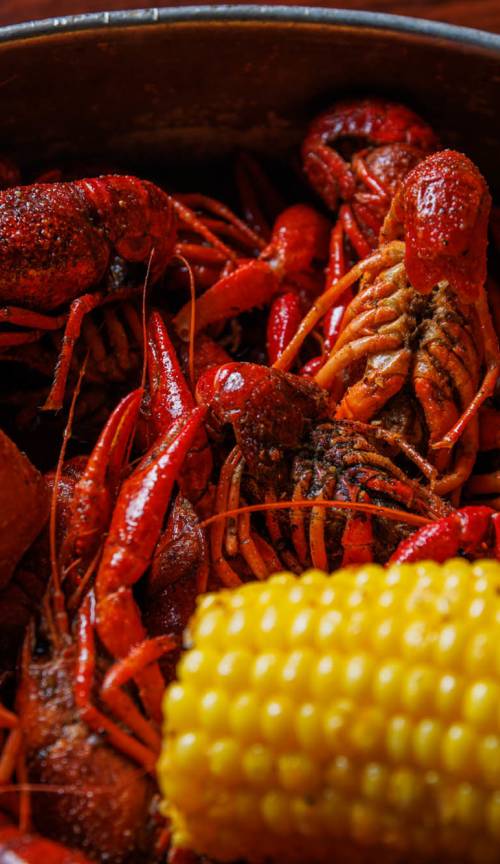 Crawfish shack new arrivals