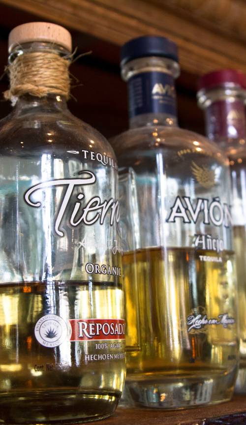 slideshow photo number 9