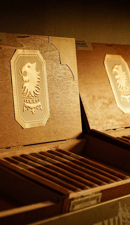 slideshow photo number 2