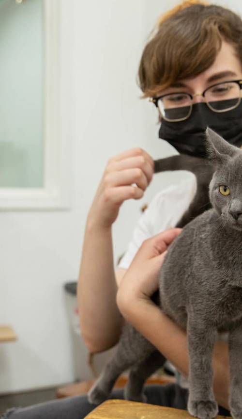 slideshow photo number 2