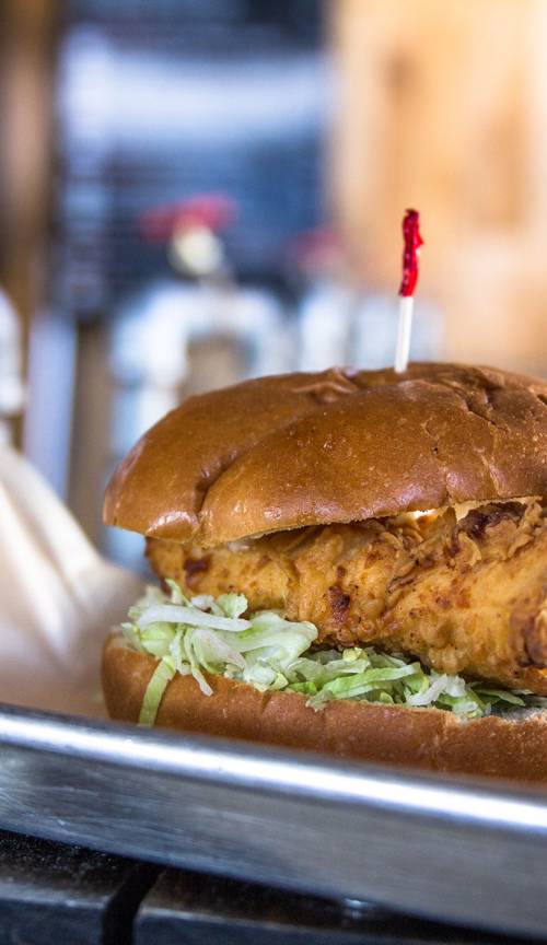 slideshow photo number 2