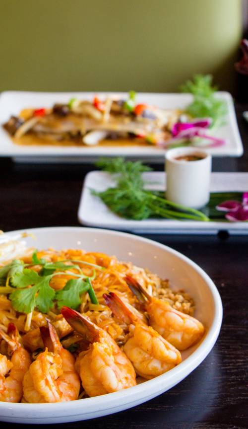 Lotus Thai Cuisine Hillcrest San Diego Ca