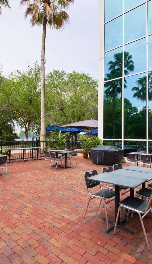 310 Restaurants Orlando Fl
