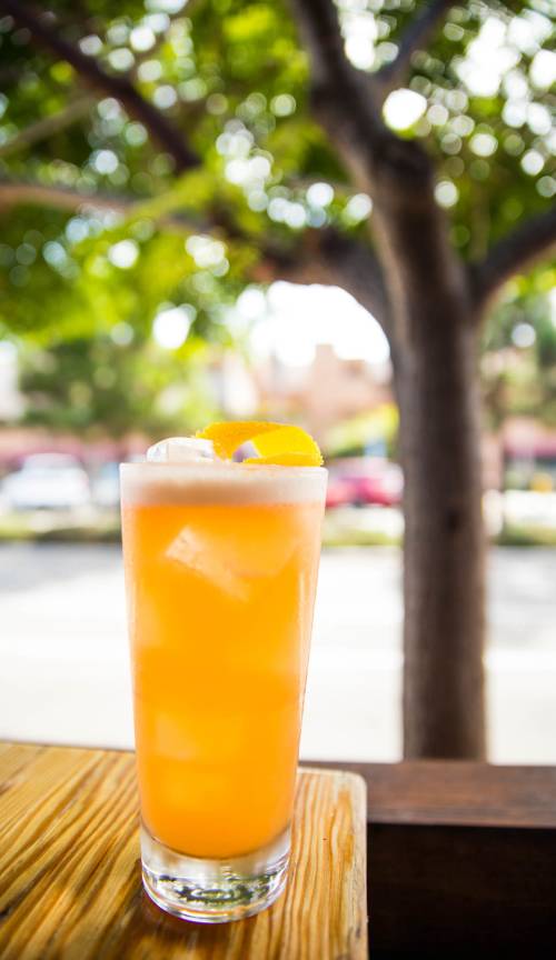 slideshow photo number 6