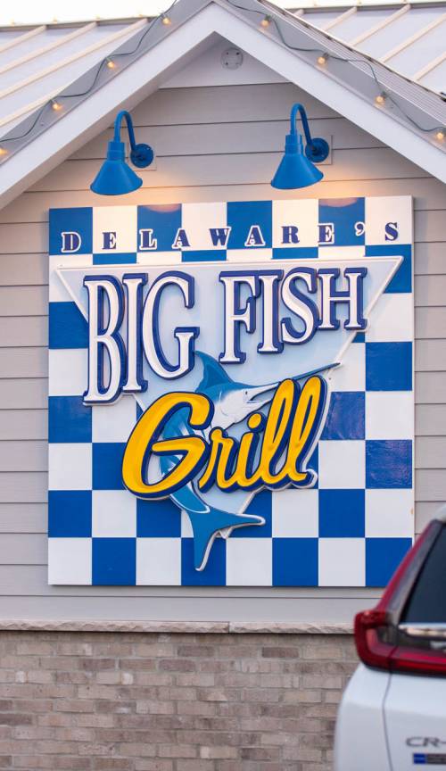 Big fish grill deals