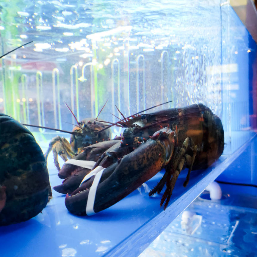 Jay's Crab Boil & Oyster Bar - Pickerington, OH