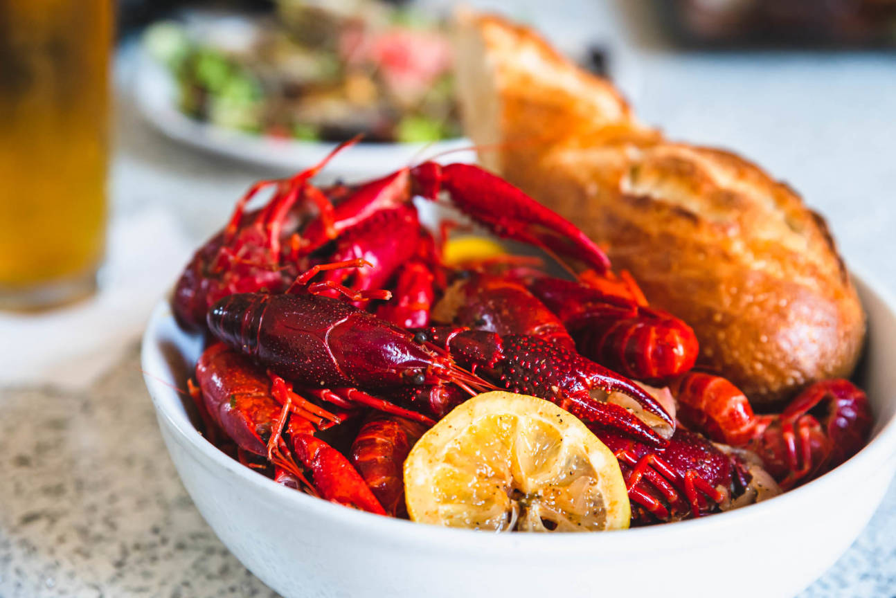 Shucks Oyster Bar Anderson, SC