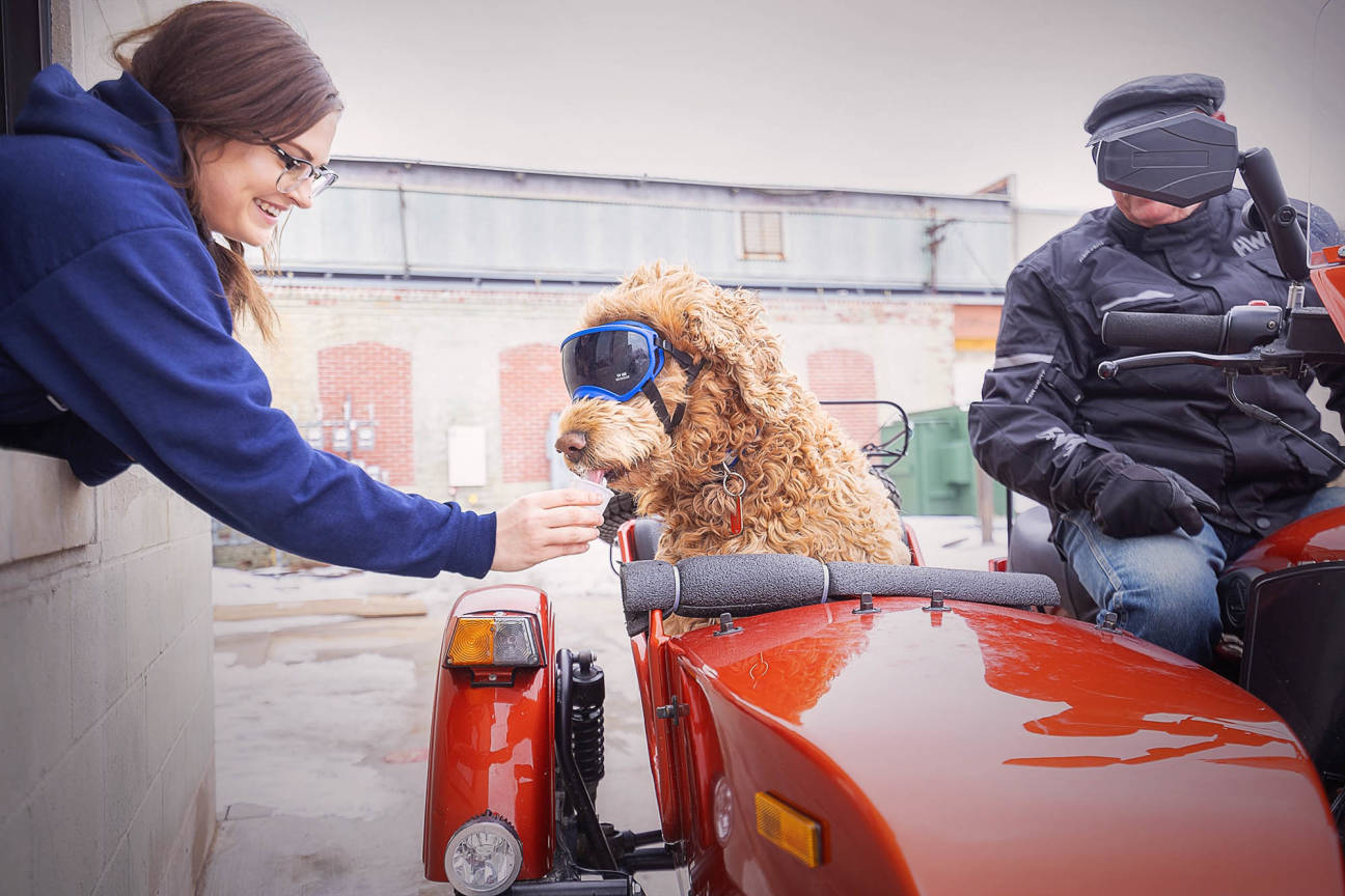 Iron + Grain Coffee House East Moline East Moline, IL