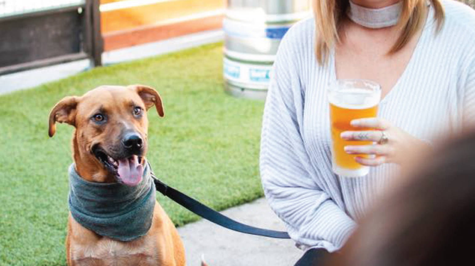 Working Class North Park, San Diego, CA