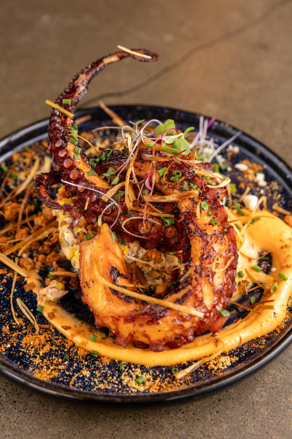 Spork Garfield, Pittsburgh, PA