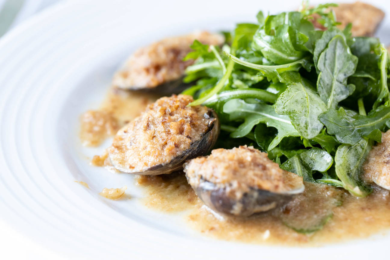 Rosa’s Italian Cucina Mamaroneck, NY