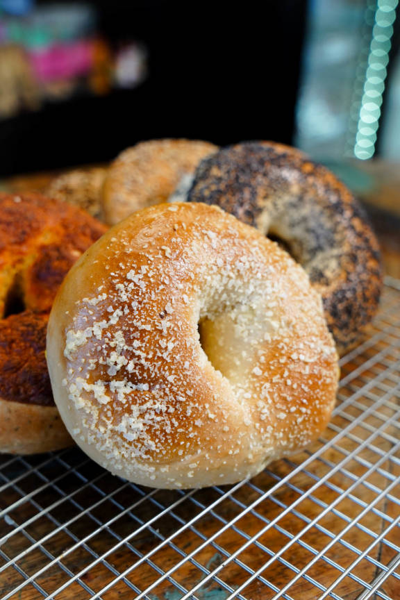 Tasty's Bagels mansfield, Plainville, MA