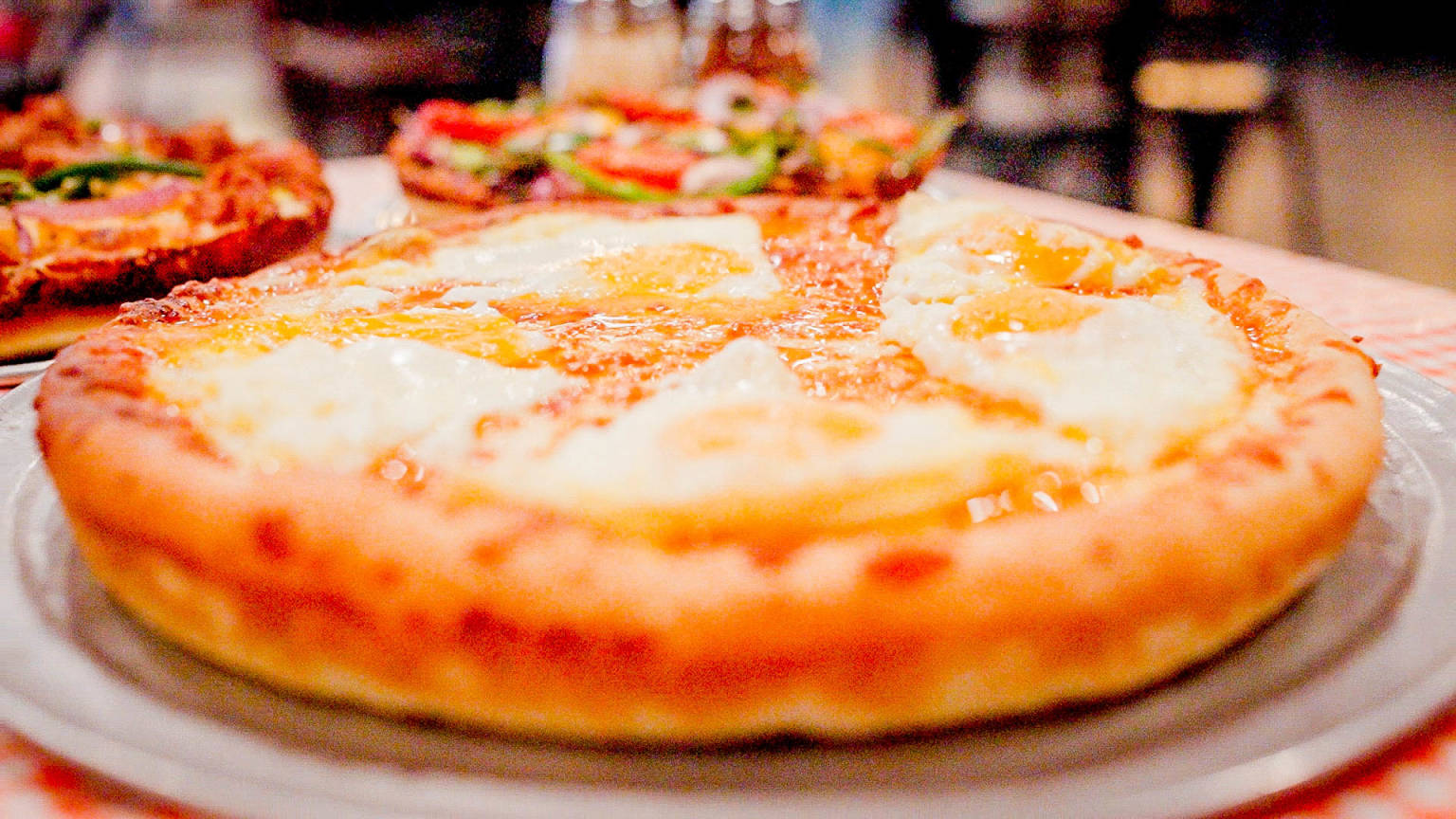 Panhandler's Pizza Fort Collins, CO