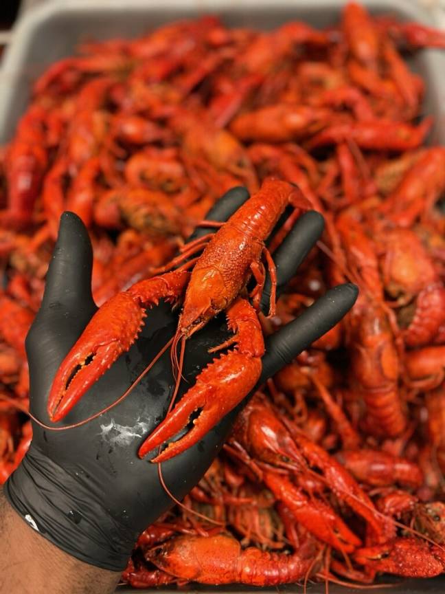 Krab Kingz Fort Worth North Fort Worth, Fort Worth, TX