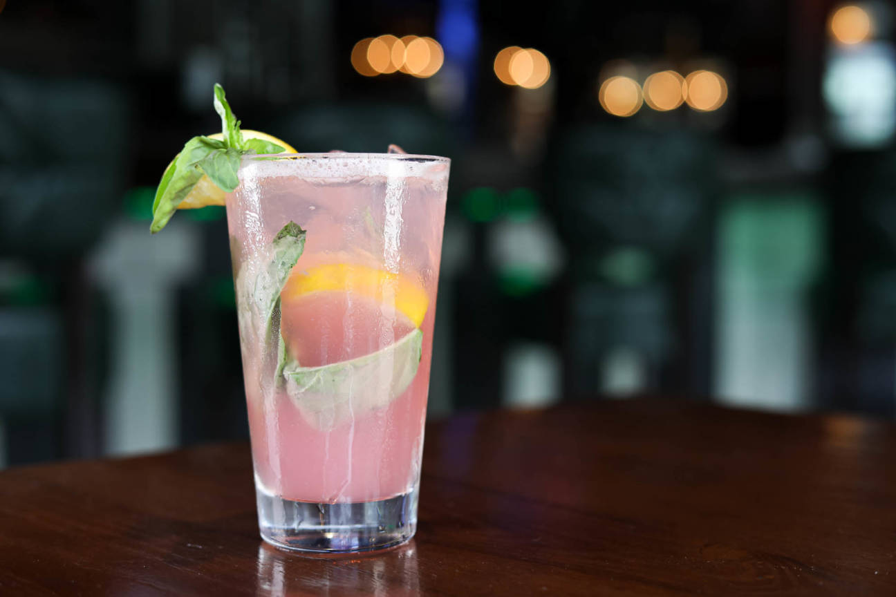 Ink N Ivy Charlotte Charlotte