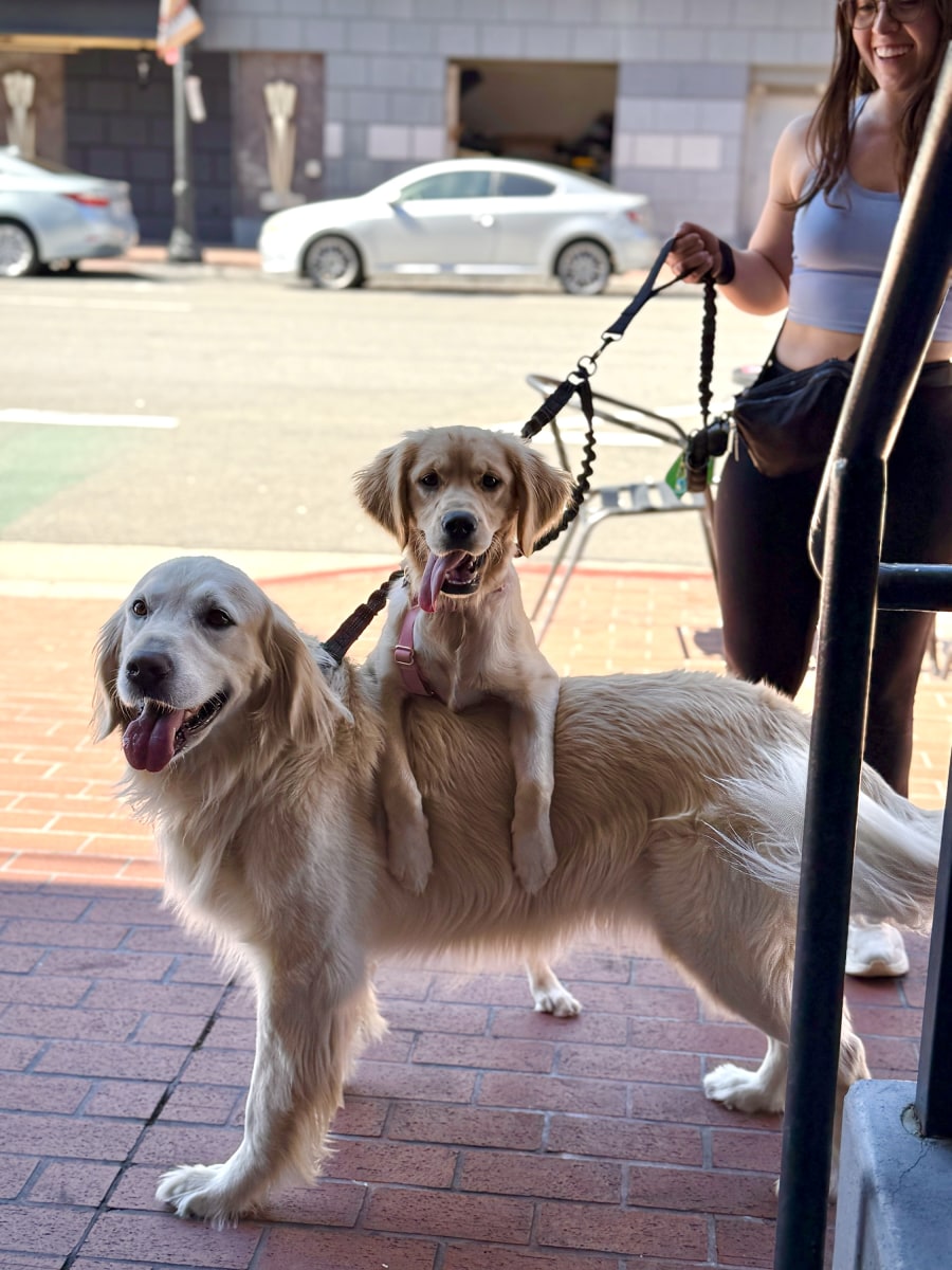 slideshow photo number 5