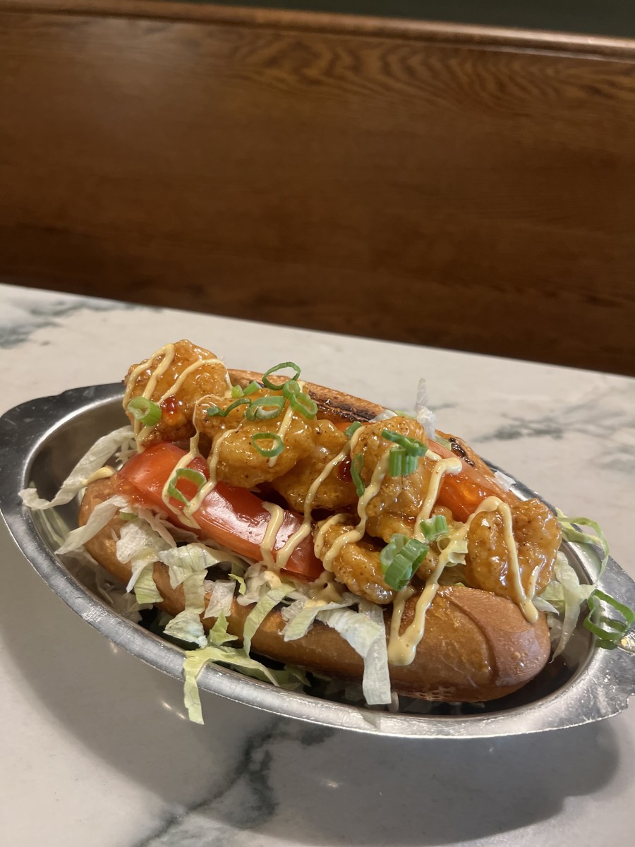 slideshow photo number 17