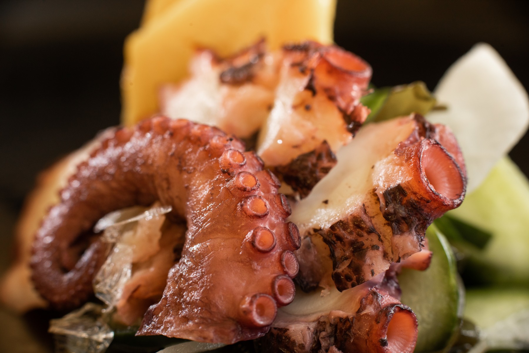 slideshow photo number 1