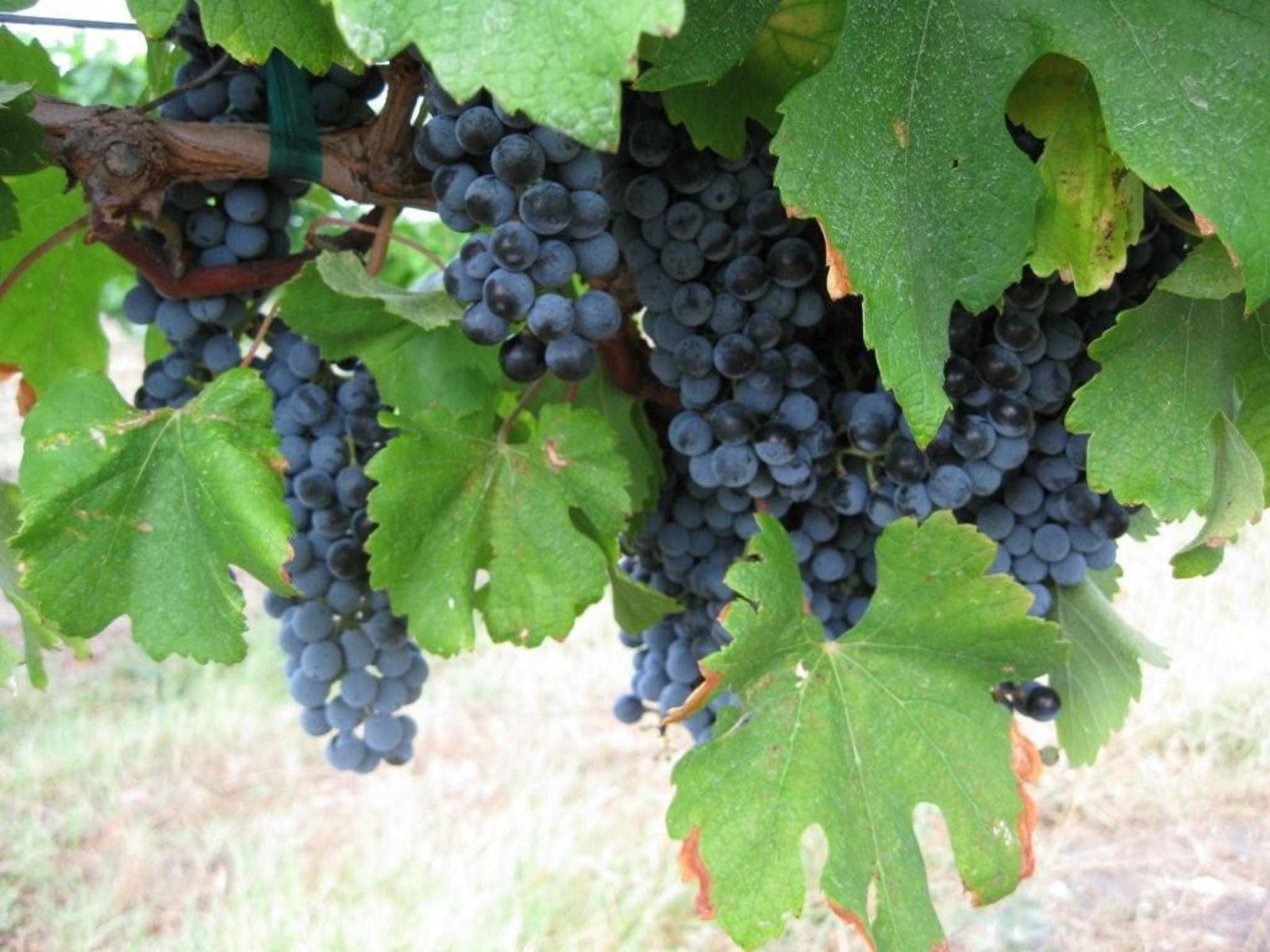 slideshow photo number 2