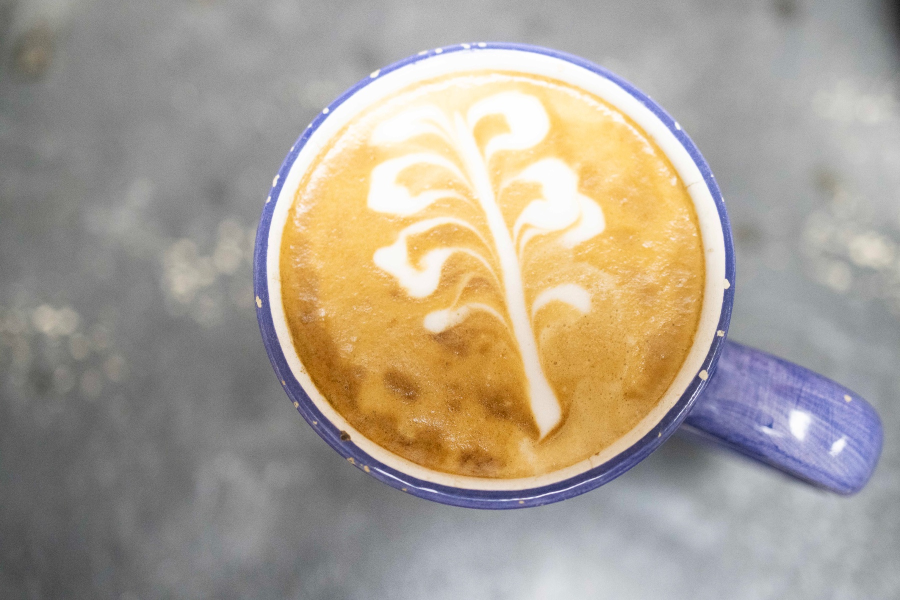 slideshow photo number 1