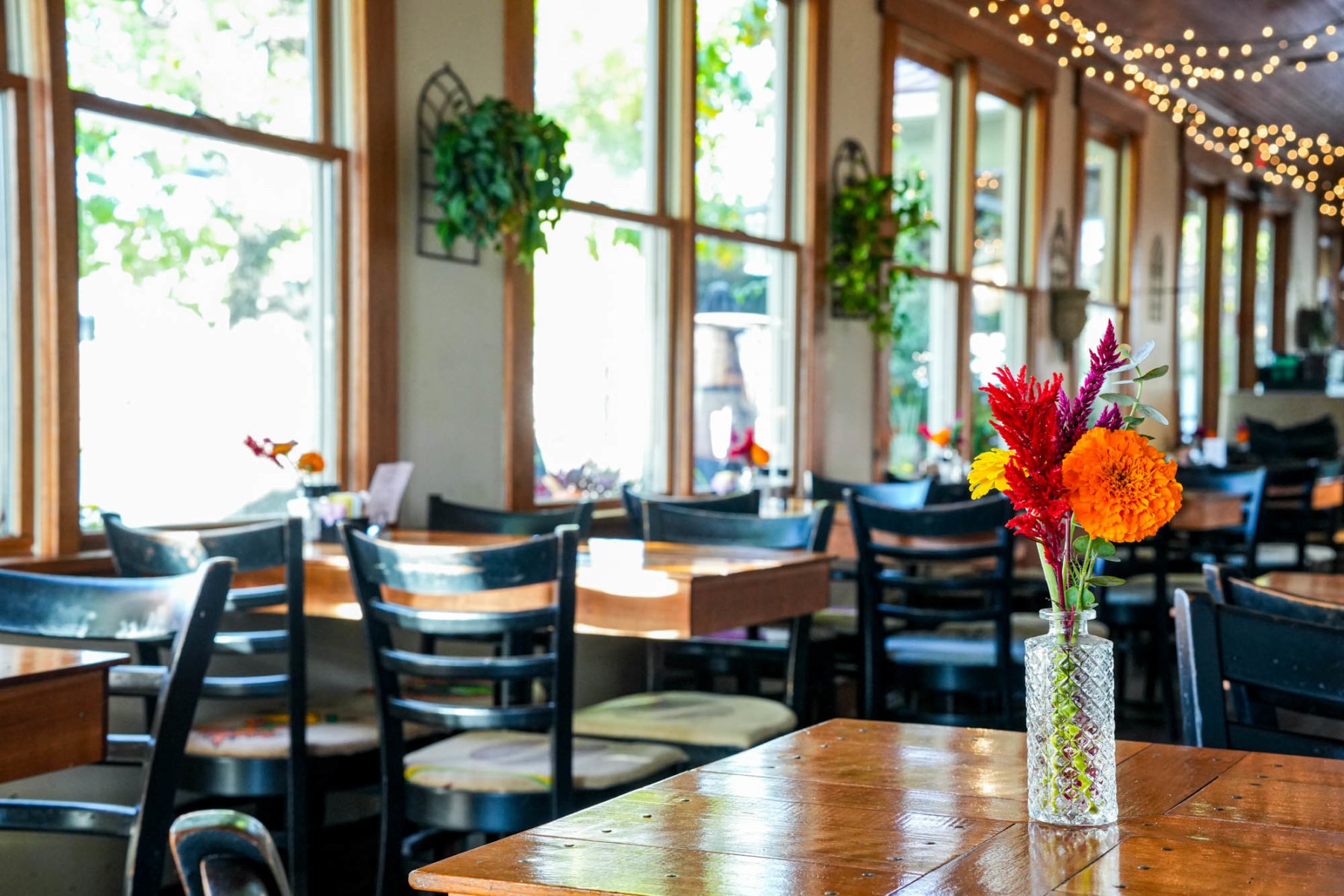 slideshow photo number 1