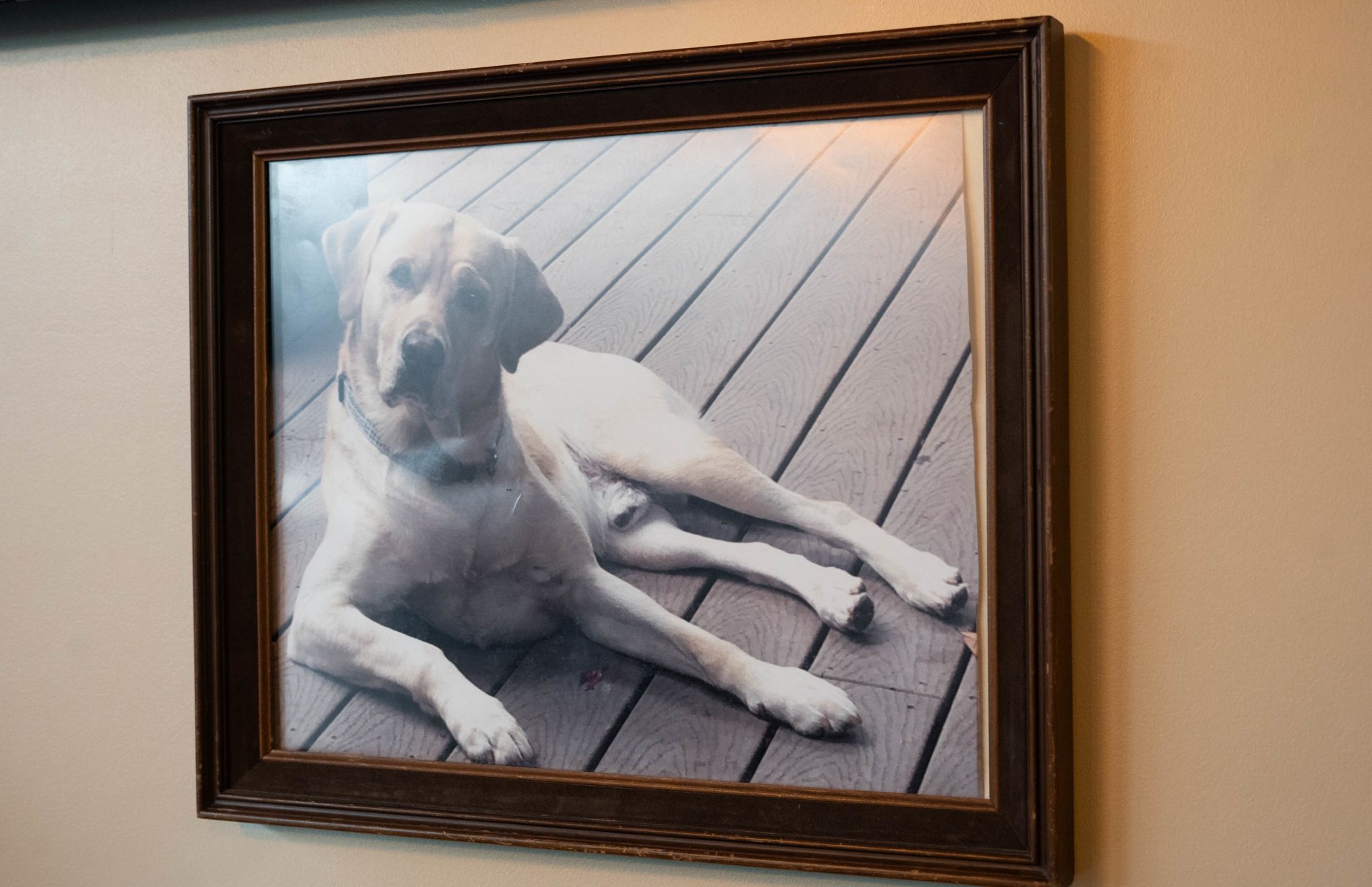 slideshow photo number 1