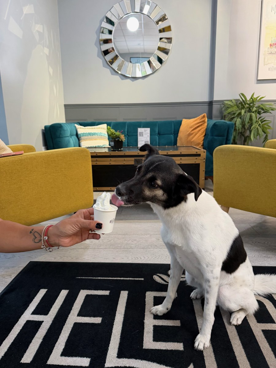 slideshow photo number 4