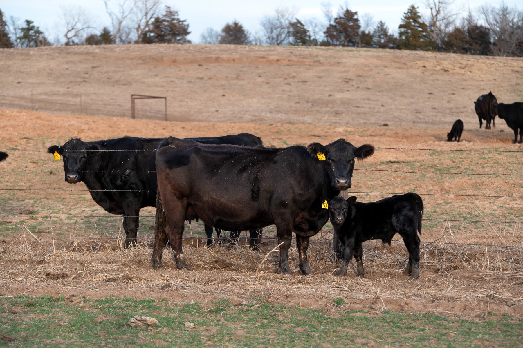 slideshow photo number 1