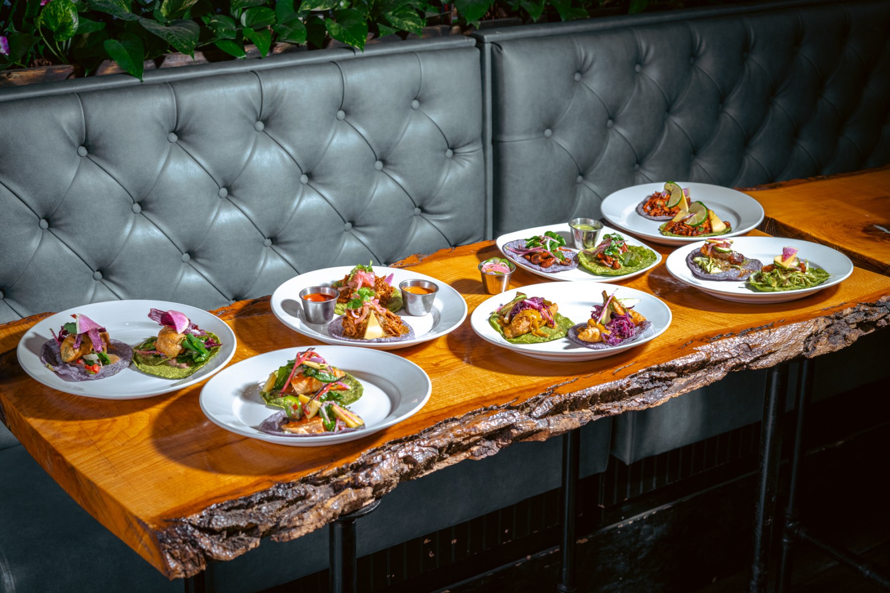 slideshow photo number 1