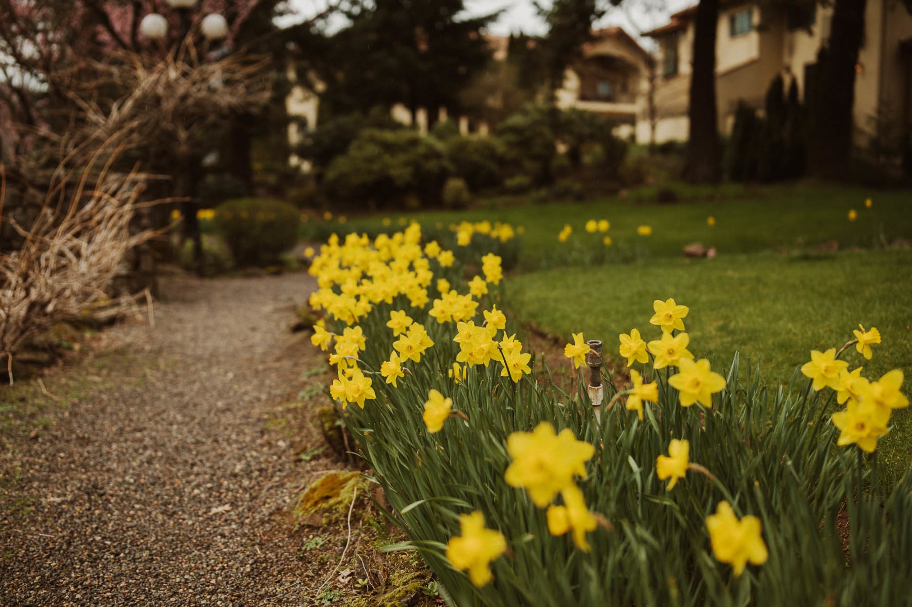 slideshow photo number 2