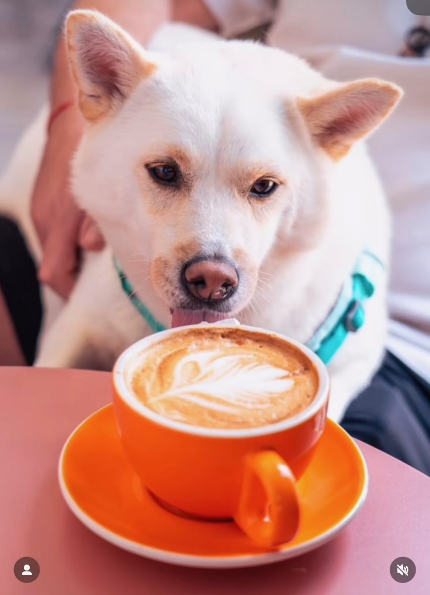 slideshow photo number 3