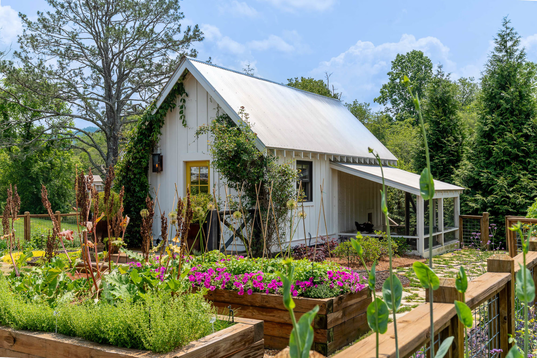 slideshow photo number 9