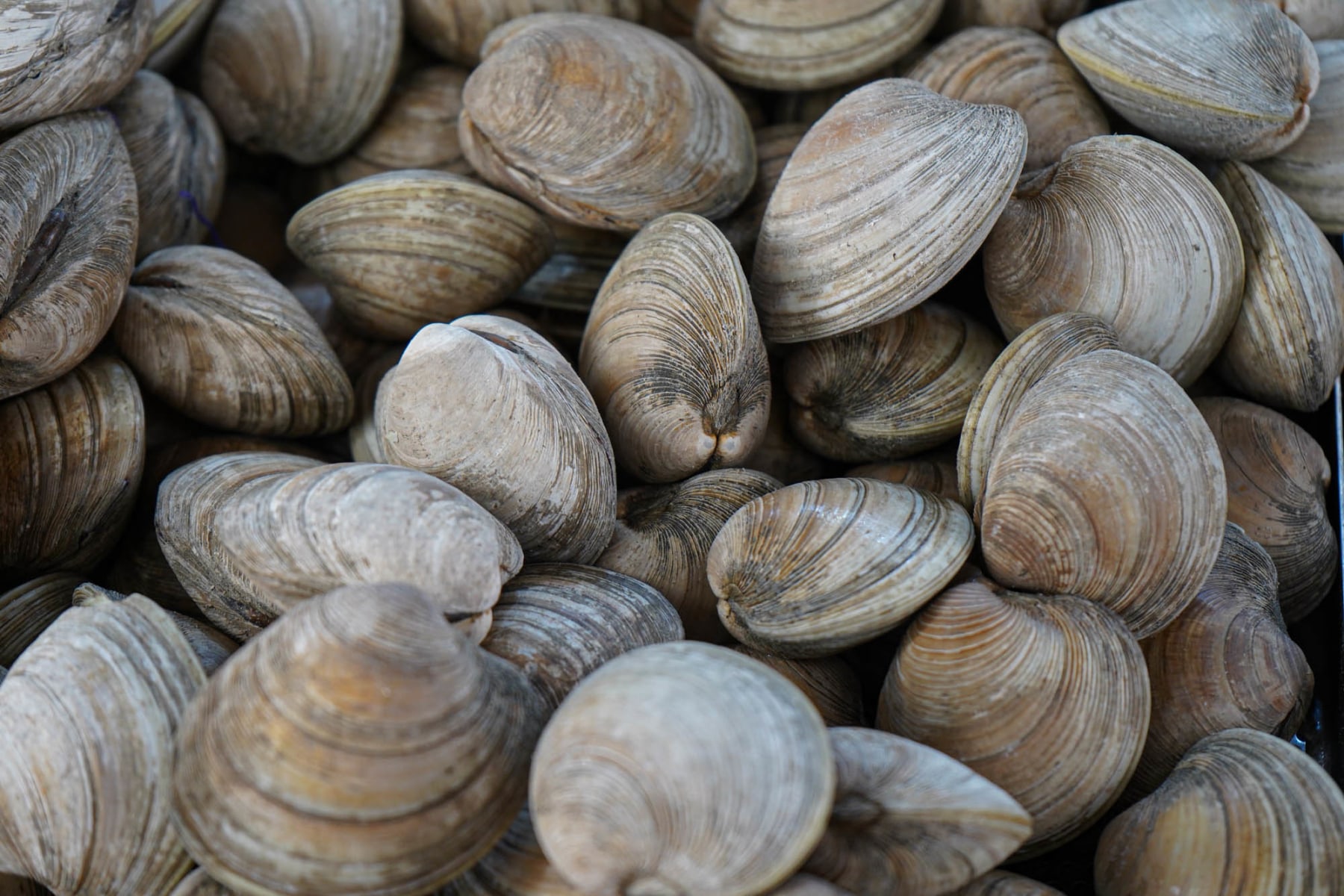 slideshow photo number 2