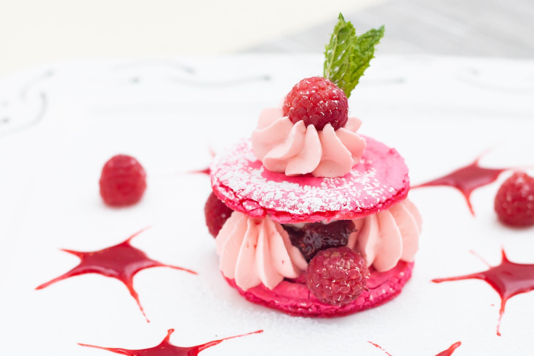 slideshow photo number 8