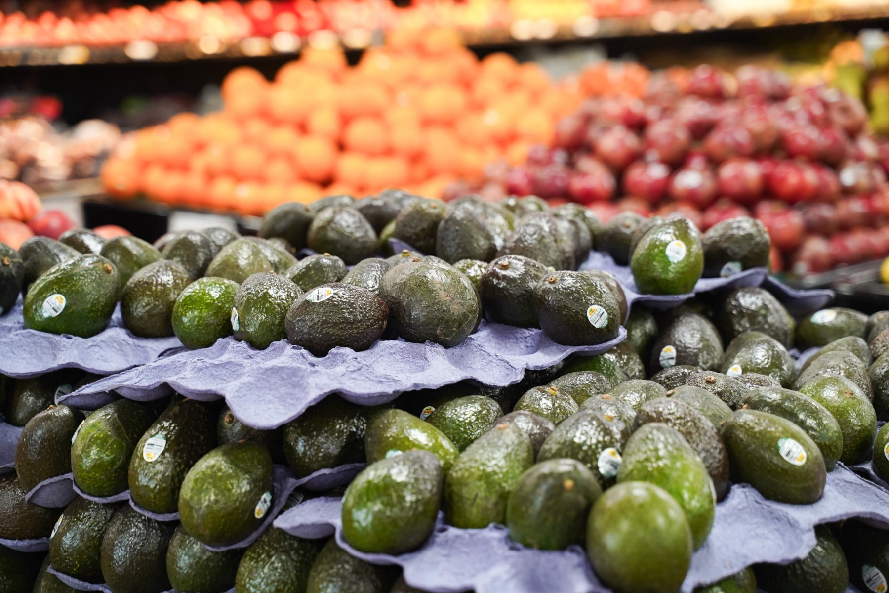 slideshow photo number 3