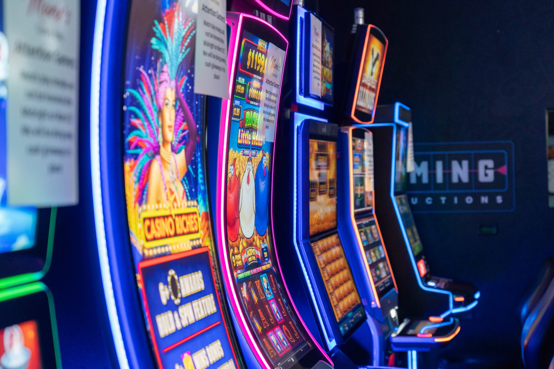 slideshow photo number 1