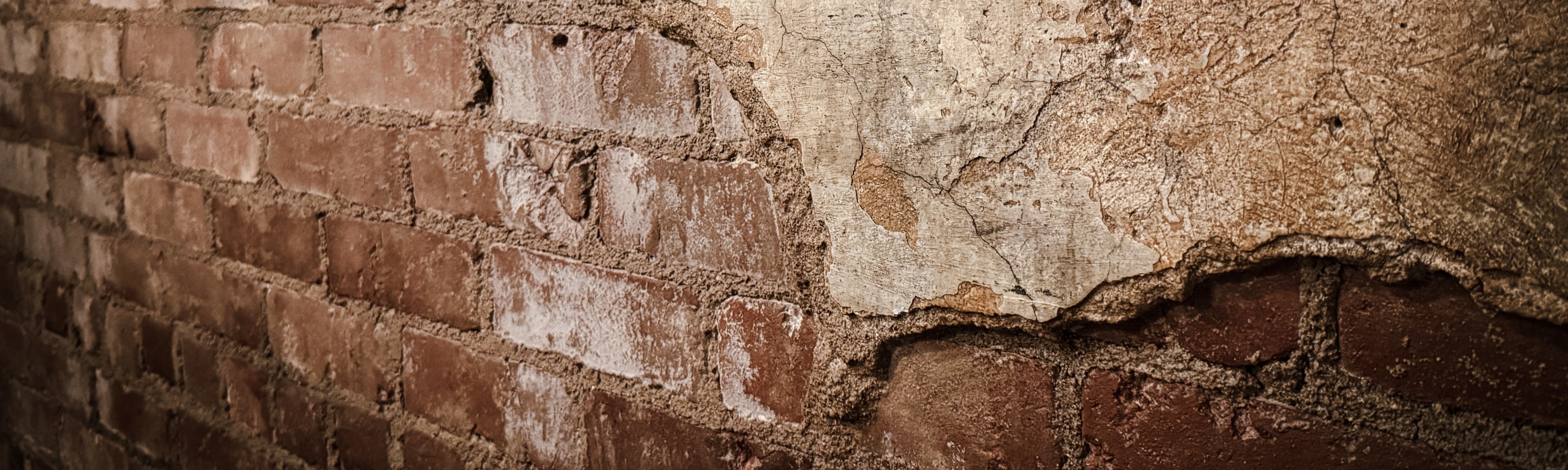 slideshow photo number 3