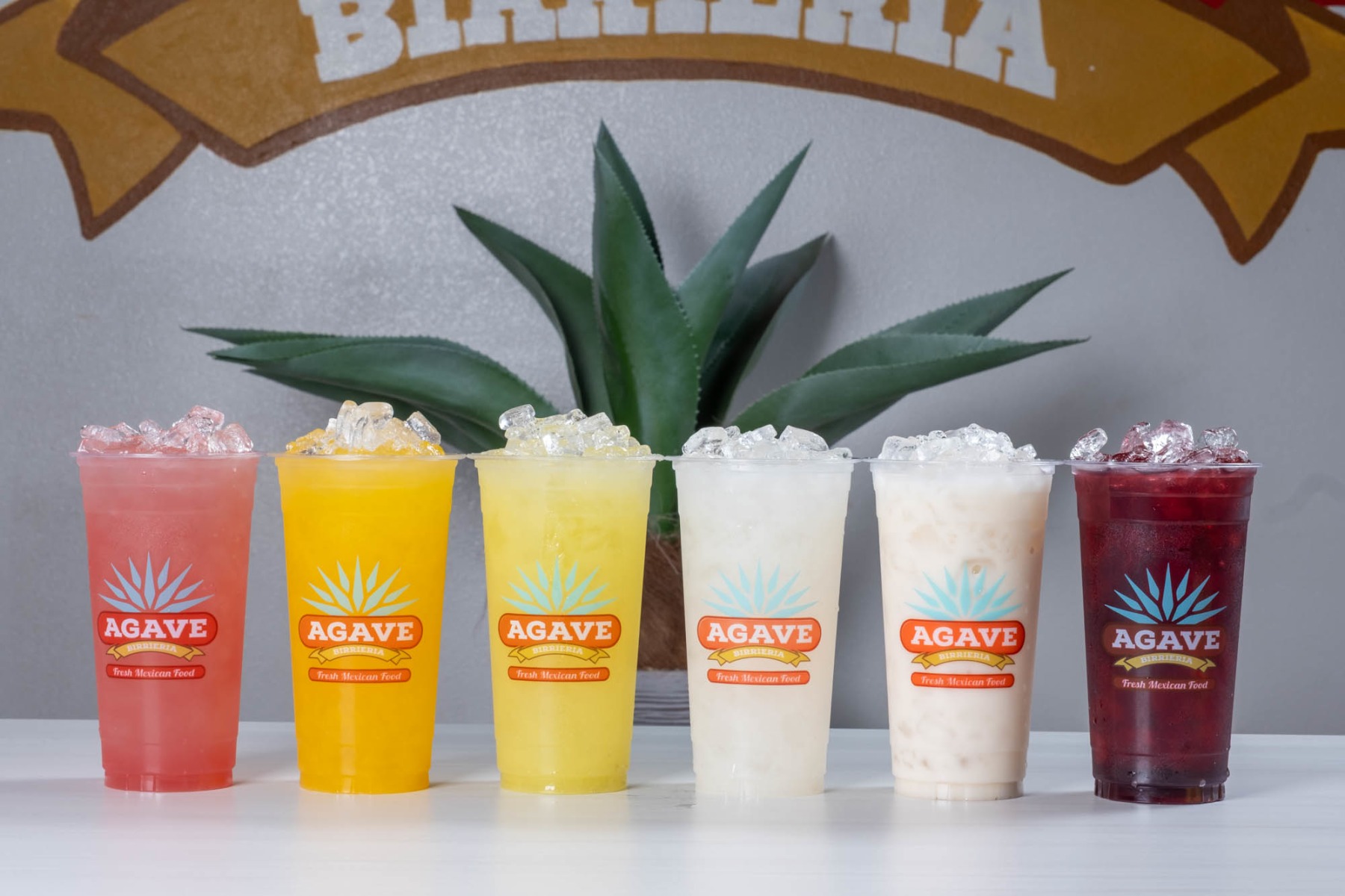 slideshow photo number 2