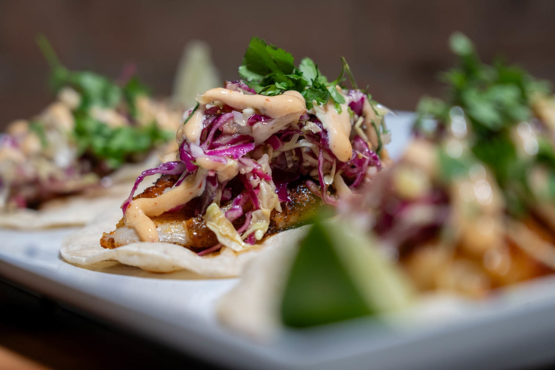 slideshow photo number 5