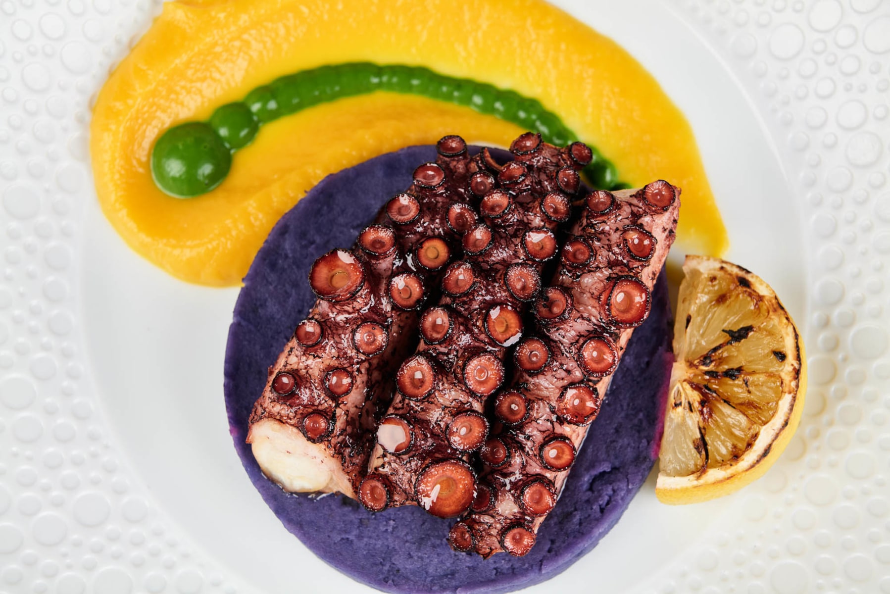 slideshow photo number 8