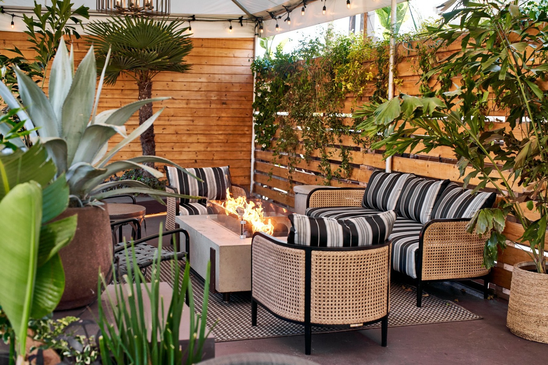 slideshow photo number 4