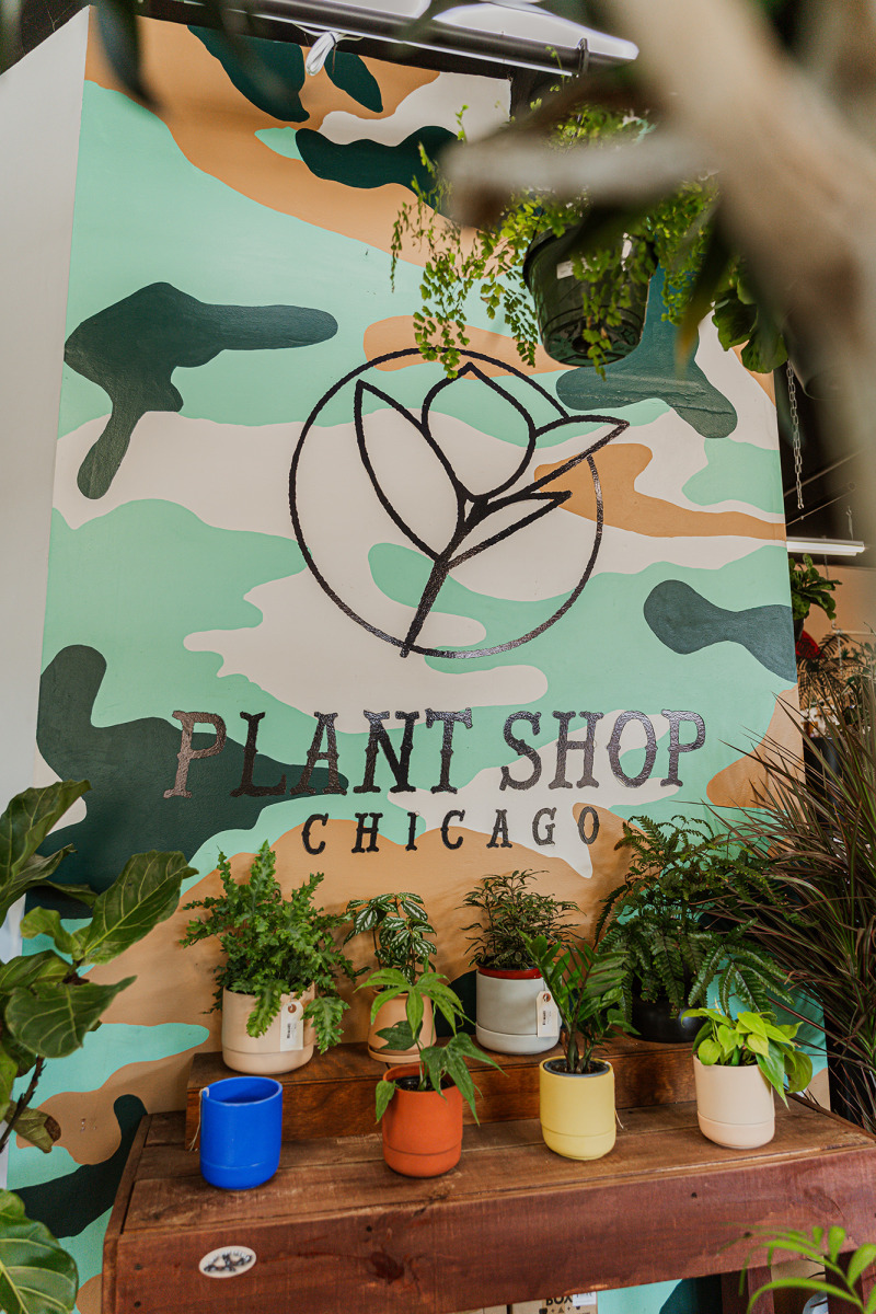 slideshow photo number 2