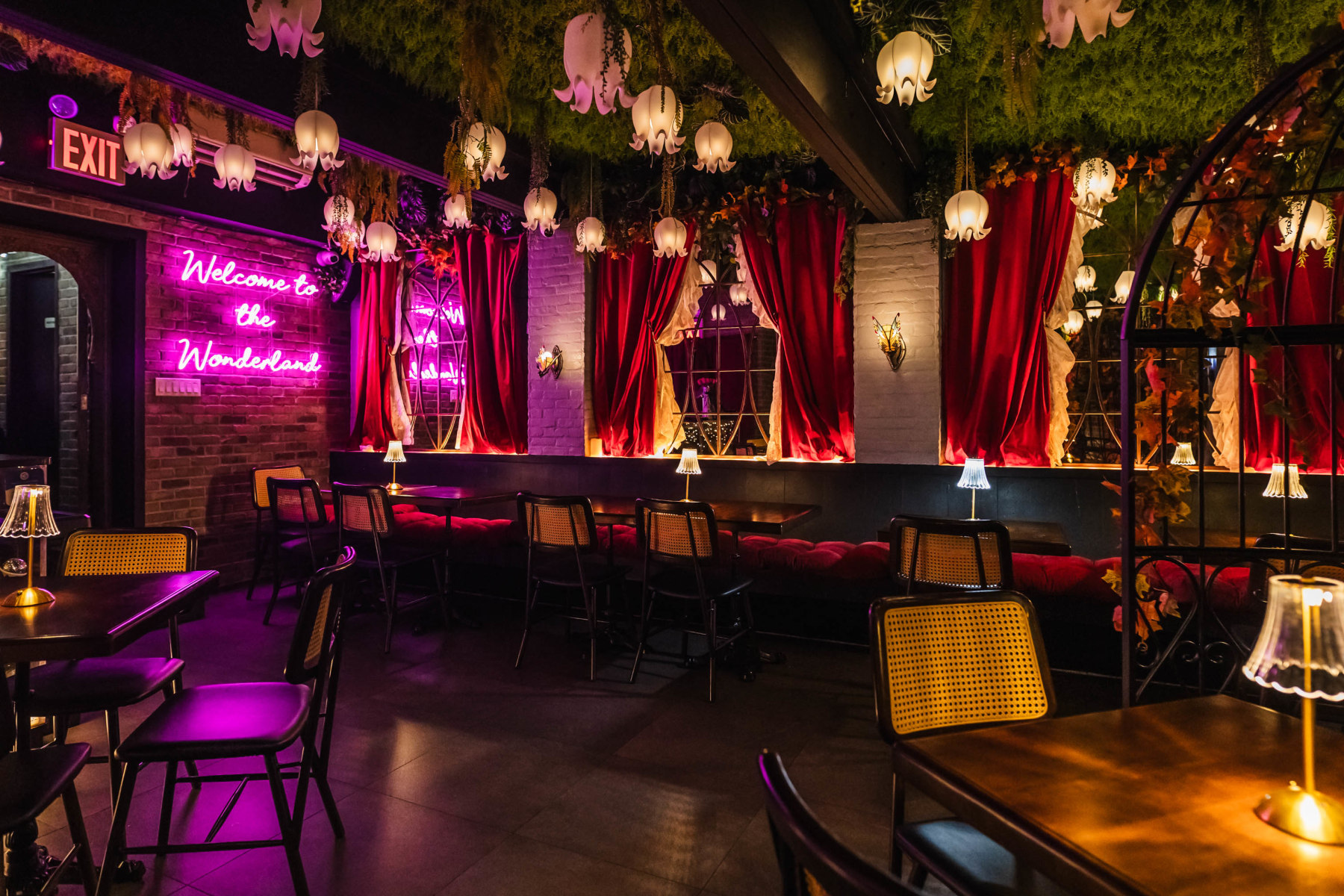 slideshow photo number 5