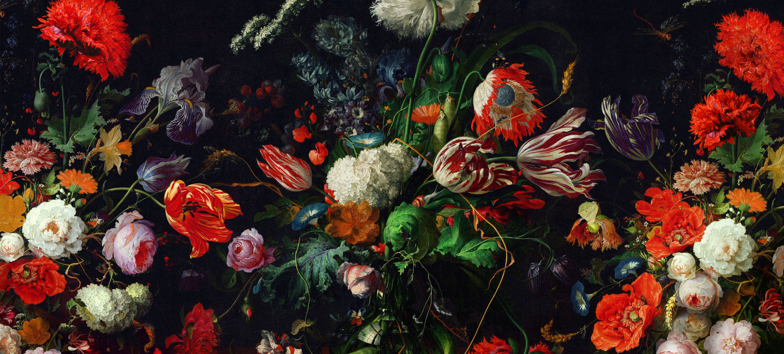 slideshow photo number 1